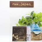 New Neil Young CD Harvest  Japan OBI