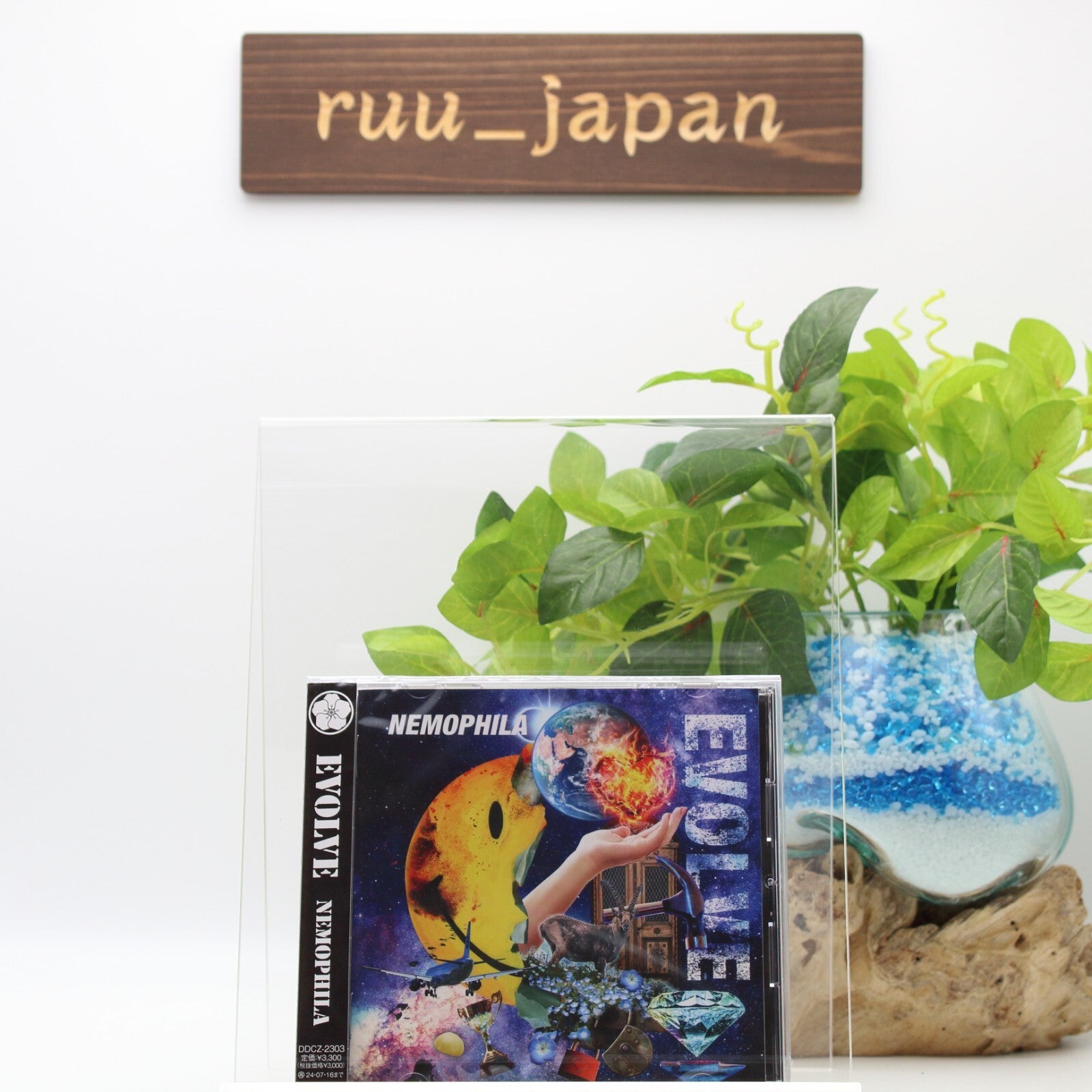 NEMOPHILA EVOLVE CD (Regular Version DDCZ-2303) Japanese HM/HR From Japan NEW