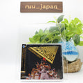 CD J-Pop SPECTRUM / Golden Best Music CD from Japan Japanese City-Pop