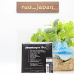 New PATTO Monkey’s Bum JAPAN MINI LP SHM CD