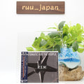 New R.E.M.-AUTOMATIC FOR THE PEOPLE-JAPAN MQA UHQCD