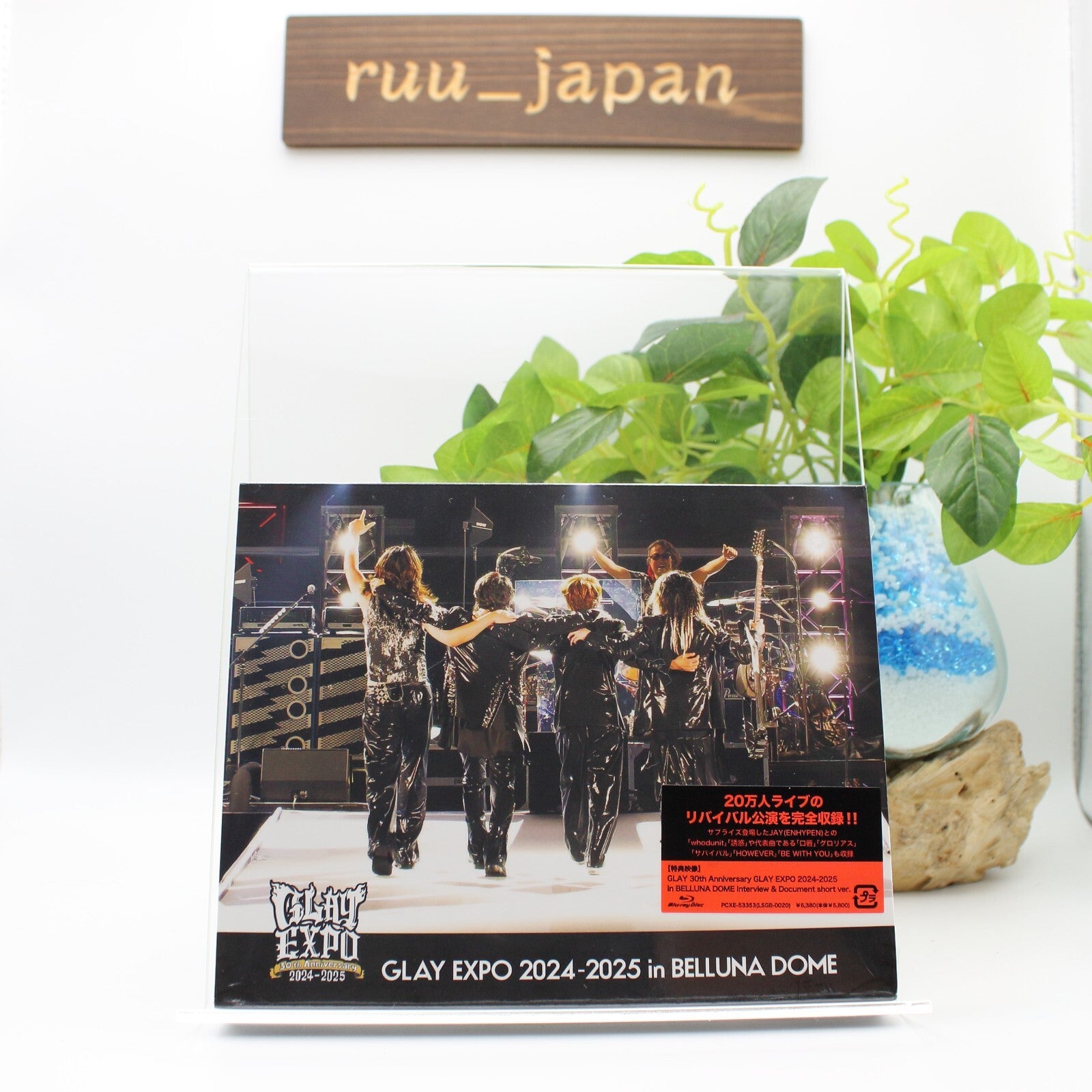 GLAY 30th Anniversary GLAY EXPO 2024-2025 in BELLUNA DOME Japan Blu-ray