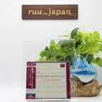 New J.S. Bach: Sonata and Paltita all songs for unaccompanied violin SHM-SACD