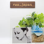 New Namie Amuro Feel Japan CD AVCN-99002 CD+Blu-ray 2013 Digipak