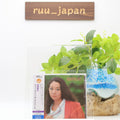 New Noriyo Ikeda / Dream In The Street 1980 CD Japan City Pop Tatsuro Yamashita