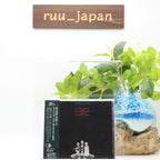 New Carol Sloane Spring is Here (Take 1 & 2) Japan Music CD