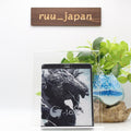 Godzilla Minus One/Minus Color -1.0/C Blu-ray Japan TBR-34171D New