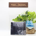 NieR Replicant ver.1.22474487139... Original Soundtrack From Japan NEW