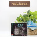 New XTC LIVE IN LONDON 1979 JAPAN CD
