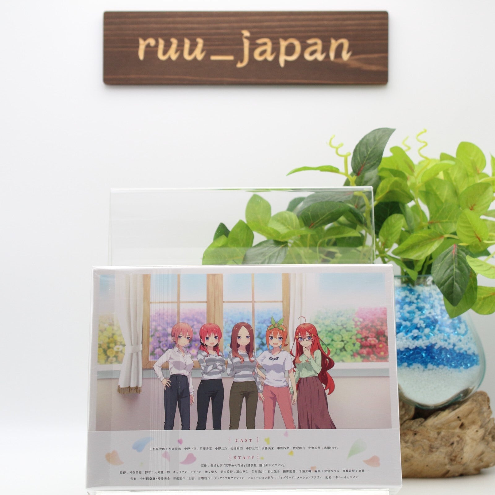 Movie “The Quintessential Quintuplets” Special Edition [Blu-ray] New