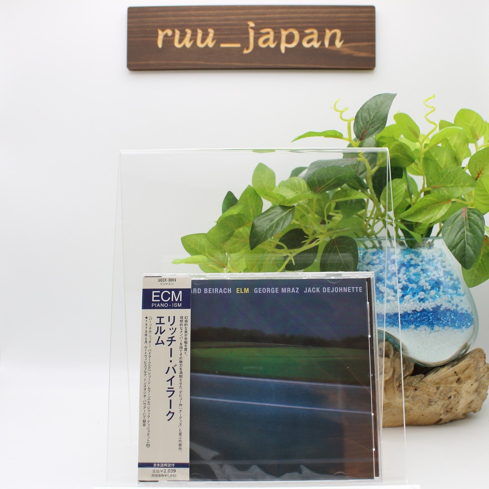 Elm Richie Beirach Trio CD from Japan New
