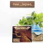 GALNERYUS One For All - All For One CD From Japan NEW