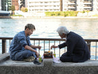 Haru ni chiru DVD JAPAN Standard Edition NEW From Japan