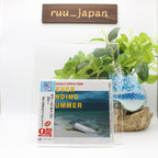 Kiyotaka Sugiyama & Omega Tribe / Never Ending Summer CD Japan City Pop NEW
