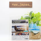 Minamata Blu-ray Booklet Japan English New