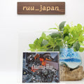 Chainsaw Man Original Soundtrack Complete Edition Anime OST CD From Japan NEW