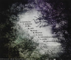 New lynch. - THE BURIED Normal Edition [CD]