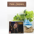 T.REX LIVE IN LONDON 72  JAPAN CD New
