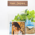 New Mari Hamada - Return to Myself [SHM-CD]