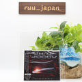 WHITE WIDDOW Victory CD From Japan NEW