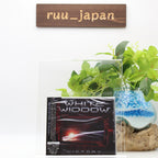 WHITE WIDDOW Victory CD From Japan NEW