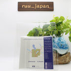 New Salamanda In Parallel [ARTPL-208] Japan Music CD