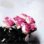 New Minuano / Love Logic 2009 CD Japan Lamp
