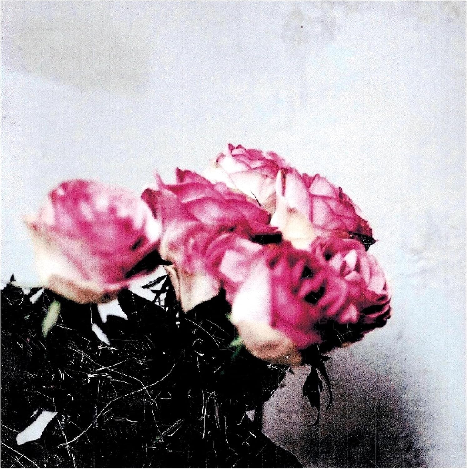 New Minuano / Love Logic 2009 CD Japan Lamp