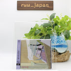 KIRINJI-crepuscular-JAPAN CD DVD Ltd/Ed New