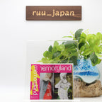 CFCF-MEMORYLAND-JAPAN CD BONUS TRACK From Japan NEW