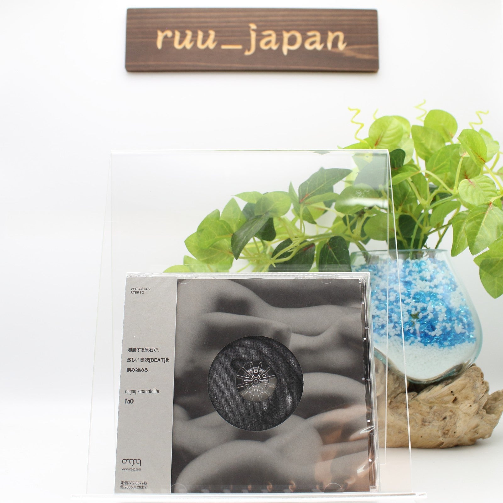 CD New Ongaq: Stromatolite