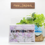 My Beautiful Man Season 2 & special edit version Blu-ray BOX Eng Sub new