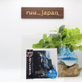 The Best Of Whitesnake MQA X U From Japan NEW