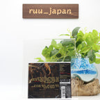 MEGADETH The Sick, The Dying...And The Dead! 2023 TOUR JAPAN SHM CD + DVD NEW