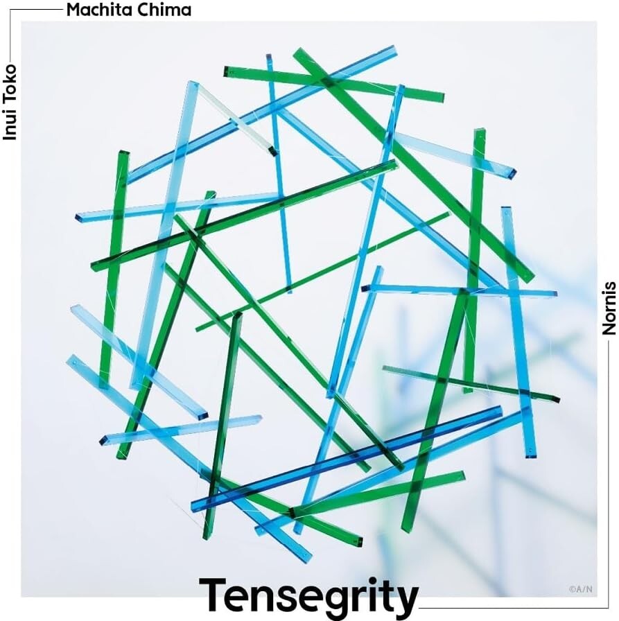 NORNIS TENSEGRITY LIMITED EDITION 2 CD SET + SLEEVE CASE New