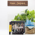 New 2NE1 I LOVE YOU Best CD+DVD