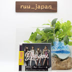 New 2NE1 I LOVE YOU Best CD+DVD