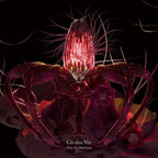 Co shu Nie-Flos Ex Machina-JAPAN CD JUJUTSU KAISEN PSY-COPASS3 New