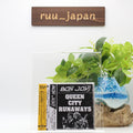 New BON JOVI QUEEN CITY RUNAWAYS LIVE FROM CINCINNATI GARDENS 1987 Japan