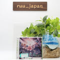 New (JAPAN) Album CD MORE MORE JUMP! Sekai Album Vol.1