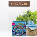 Ensemble Stars Album Series TRIP Ra*bits Regular Edition CD FFCG-0242 NEW