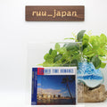 New SUMMER TIME ROMANCE FROM KIKI / TOSHIKI KADOMATSU CD from Japan