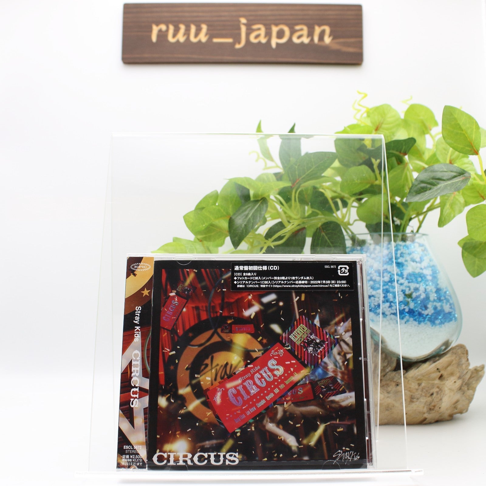 New Stray Kids CIRCUS JAPAN CD Standard Edition