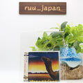 New CAMEL-BREATHLESS-JAPAN SHM-CD