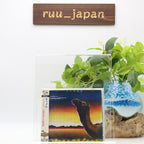 New CAMEL-BREATHLESS-JAPAN SHM-CD