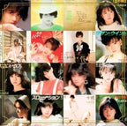 Akina Nakamori Super Best Collection Set of 2 CDs  with storage case New
