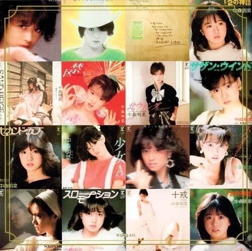 Akina Nakamori Super Best Collection Set of 2 CDs  with storage case New