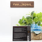 New V.A.-PHILLY SOUL REMIXES: DIMITRI FROM PARIS-JAPAN 2 CD