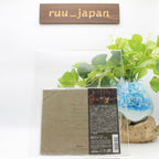 New I Built The Sky & Jake Howsam Lowe COALESCE Japan Music CD