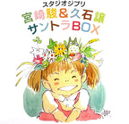 Studio Ghibli Soundtrack Box Hayao Miyazaki&Joe Hisaishi Original CD New